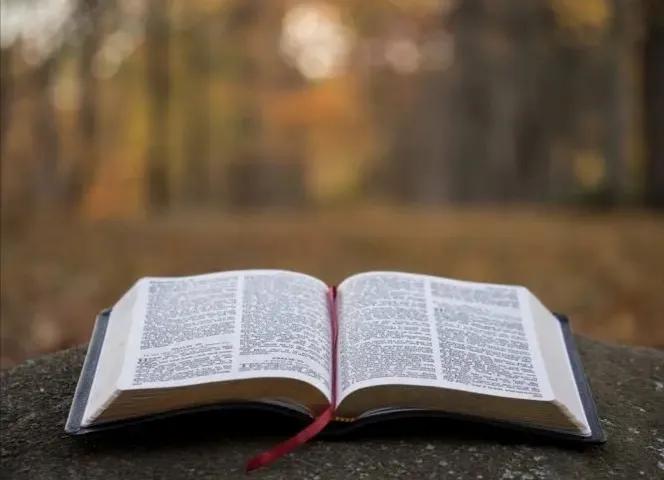 享年56岁的乔布斯被正式追授总统自由勋章，成功得益于阅读赋能？