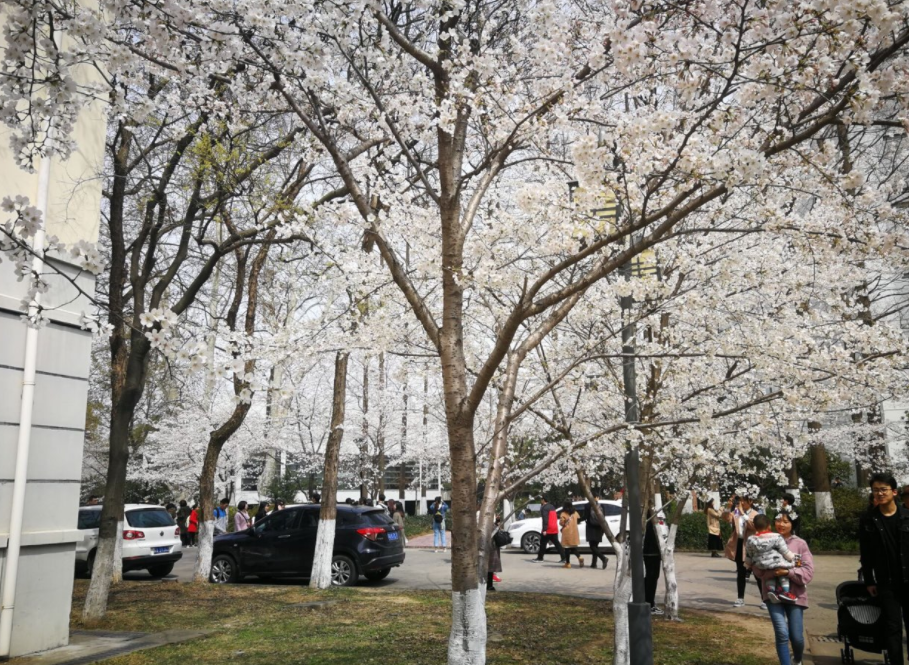 在北京落户更有优势的7所院校，都是“顶流”，本科生也有机会