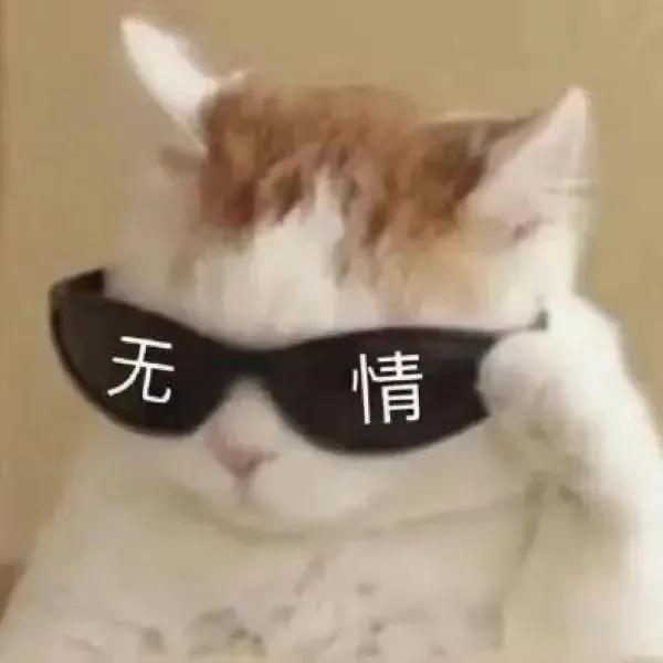 猫猫搞笑表情包