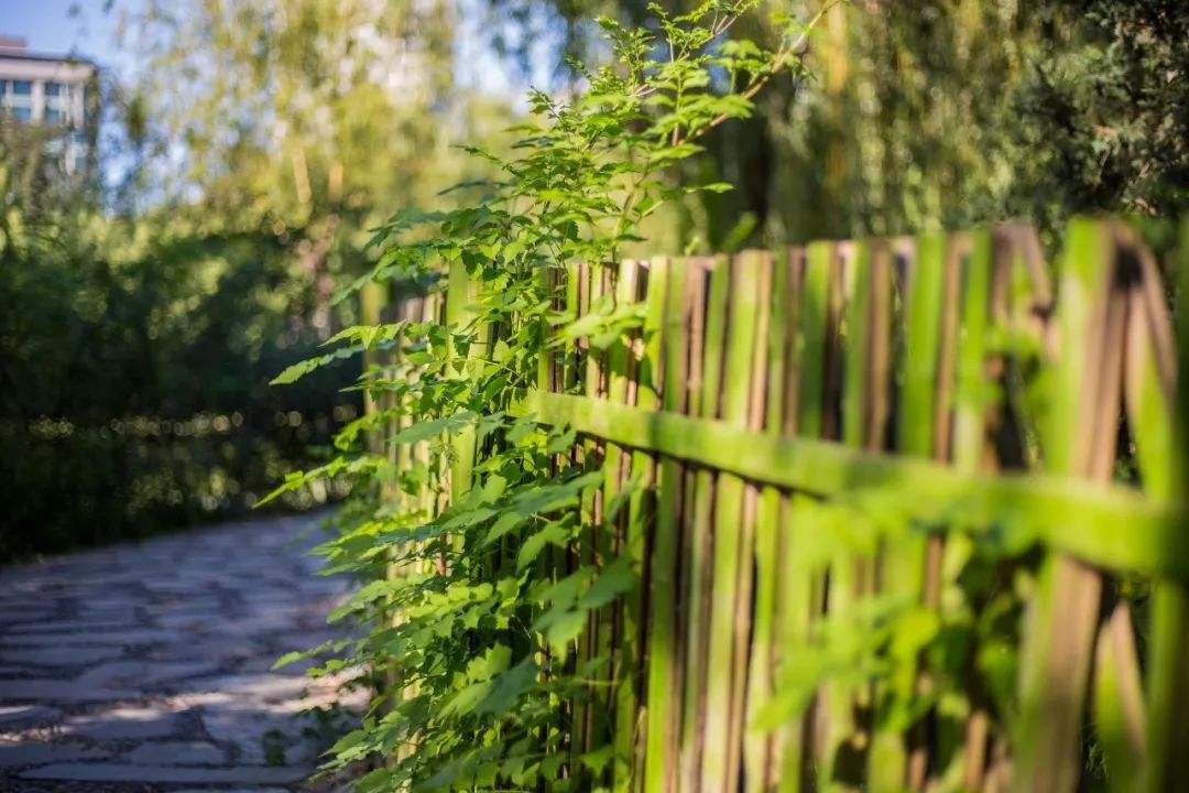 7首诗词：人世间，最美的相遇是重逢