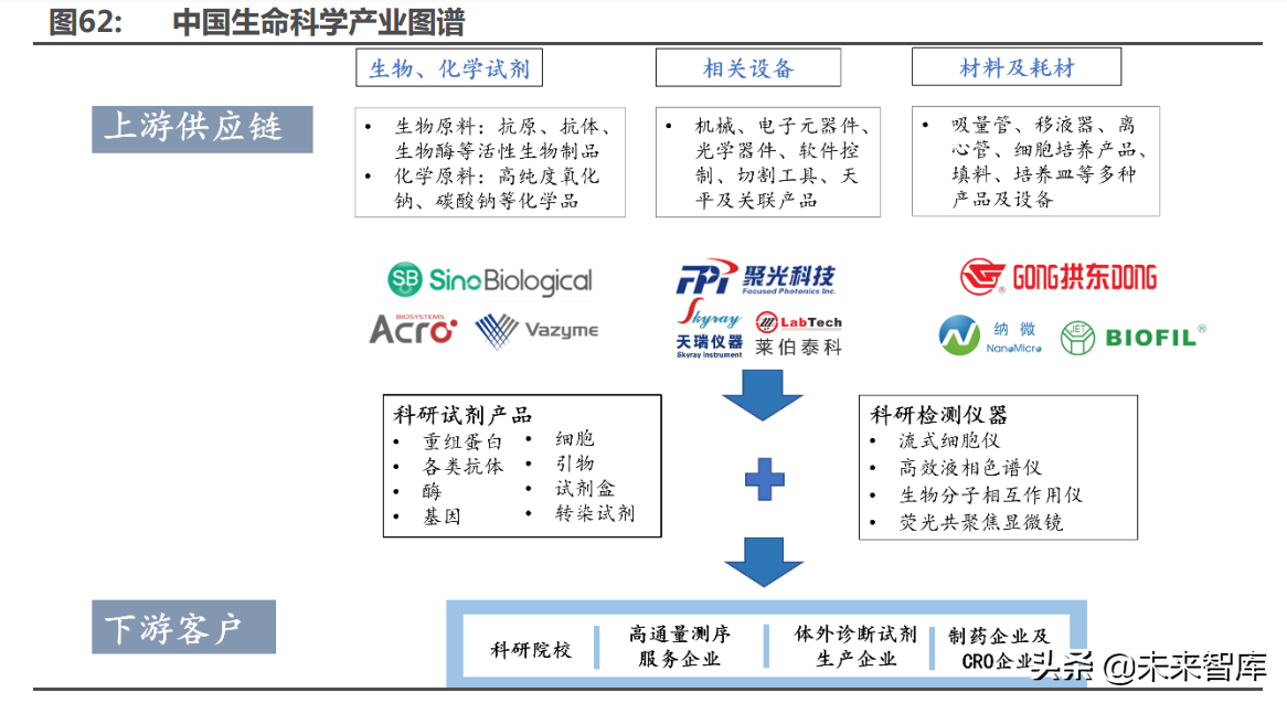 医药行业深度研究及2022年度策略：全面拥抱新成长机遇