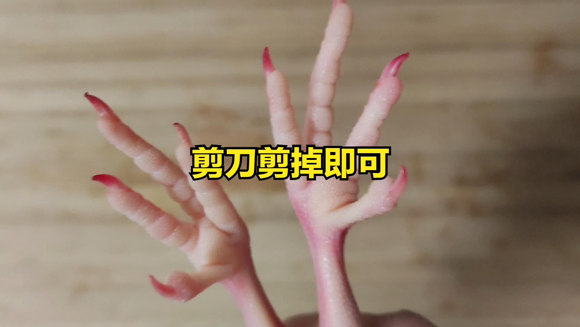 鴿子湯做法,鴿子湯做法視頻