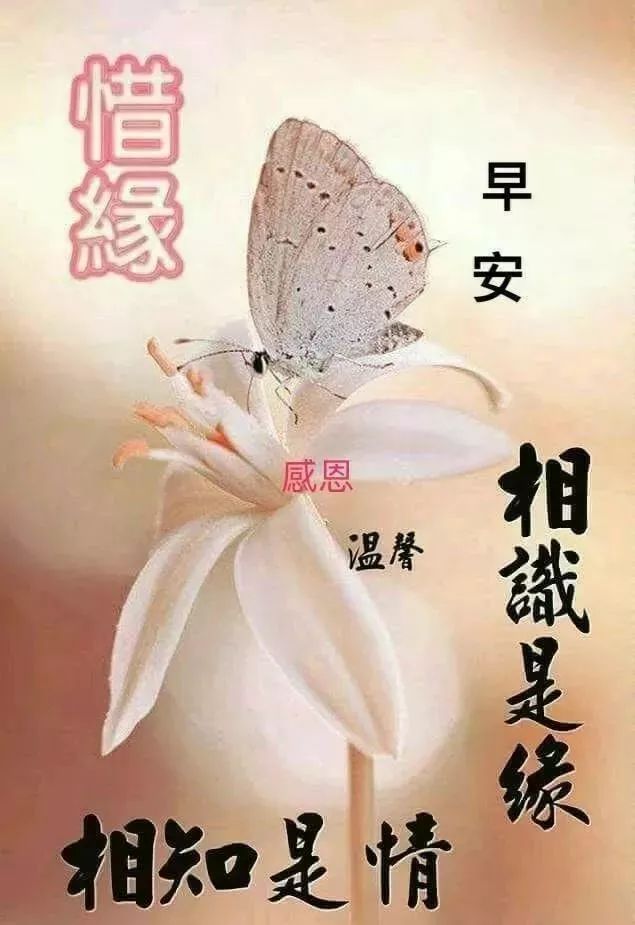 新的一周清早慰问大家早上好漂亮的表情图片，相识是缘，相知是情图片