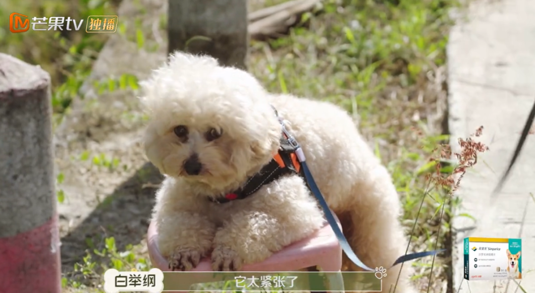 10分钟看哭7次！当他们不再“有用”的时候，却也无法正常生活