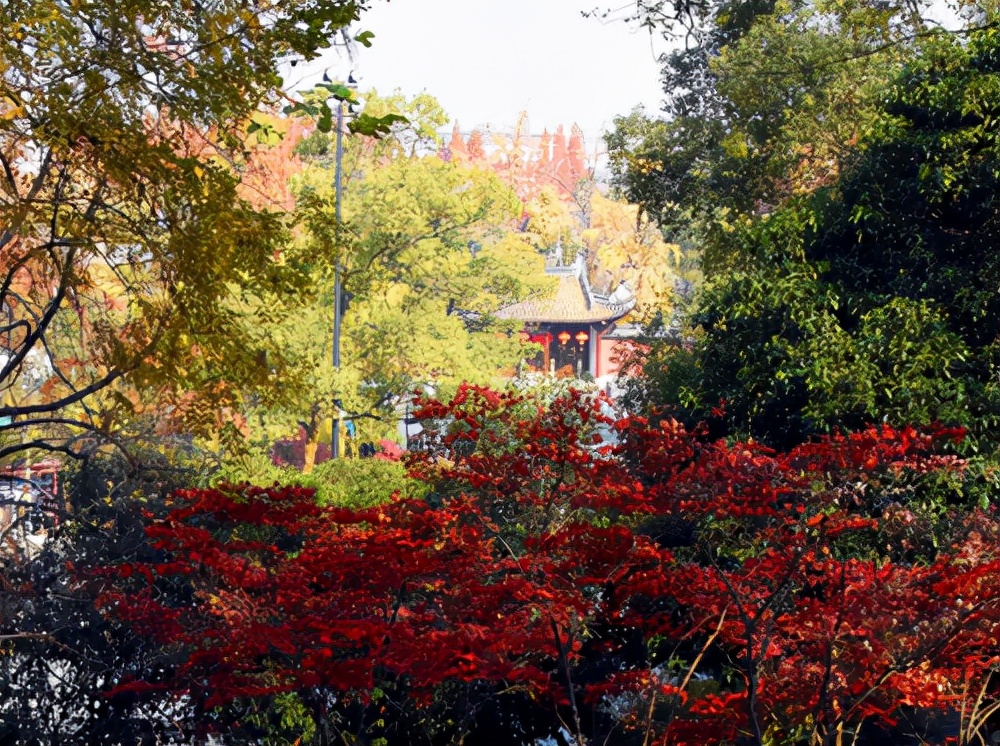 浙江旅游：感受南孔圣地衢州有礼的城市魅力（图）