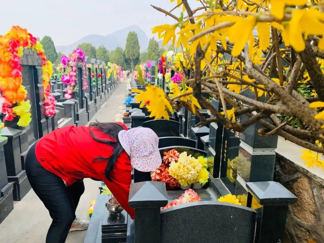 小区变“墓地”？房子买来不住只放骨灰盒，背后深层原因是什么？