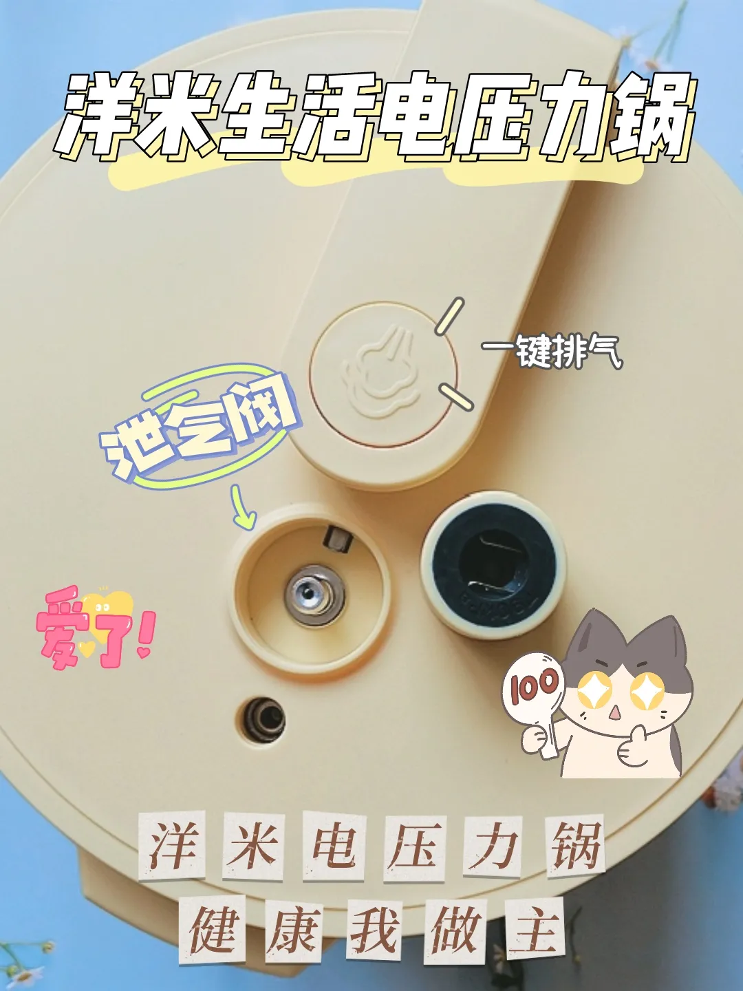电压力锅从哪买比较靠谱(299竟然买到有颜有能的电压力锅，太香)