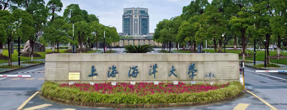 上海这所"双一流"大学,录取分数线比宁夏大学还低,适合捡漏