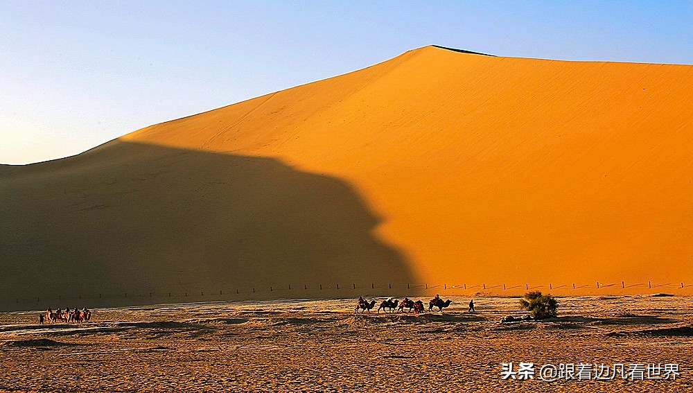 《甘肃行》大漠深处，悠悠驼铃声