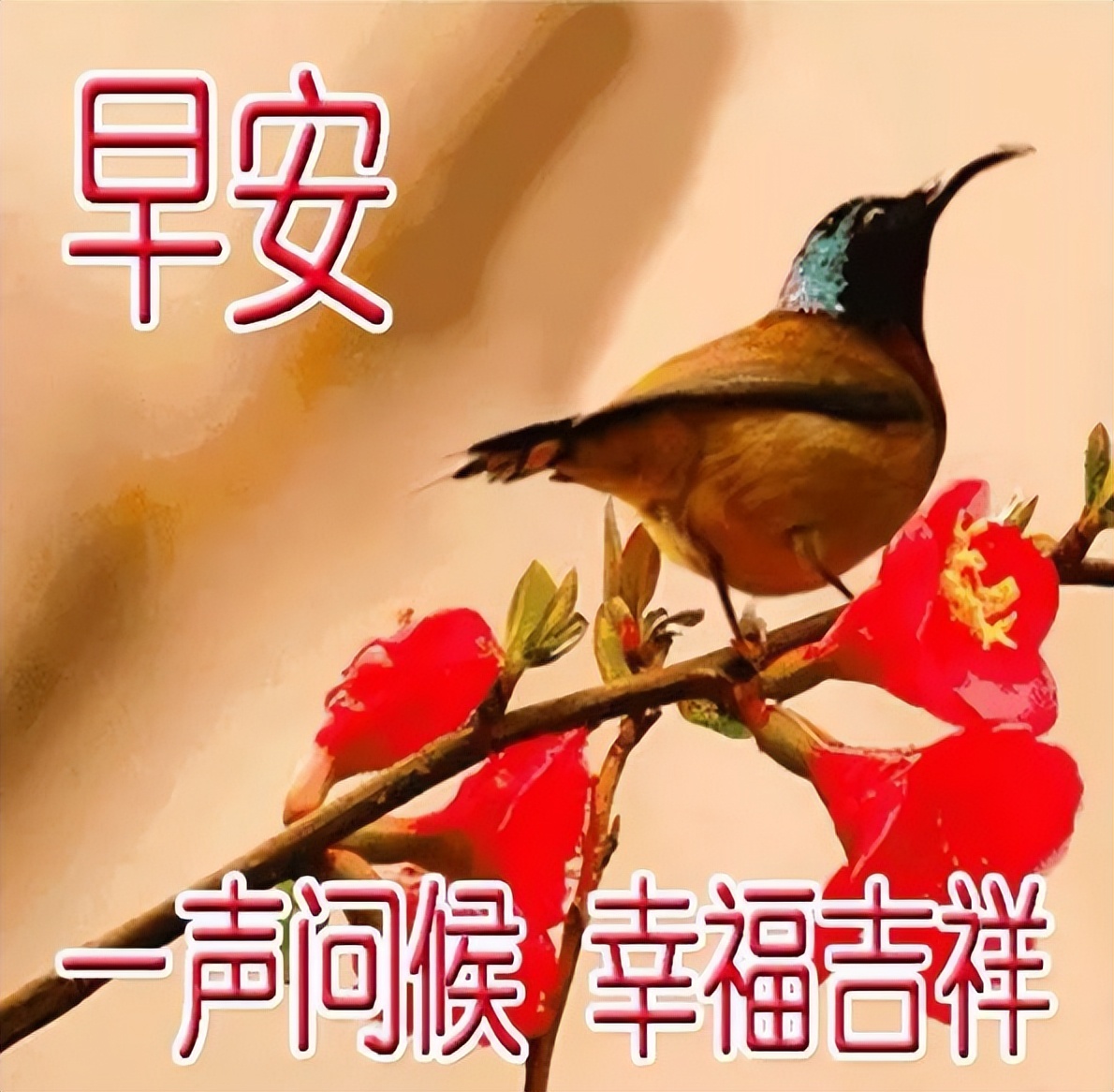 星期二早安朋友圈温馨祝福图片早安问候语录 平安吉祥、好运相随图片