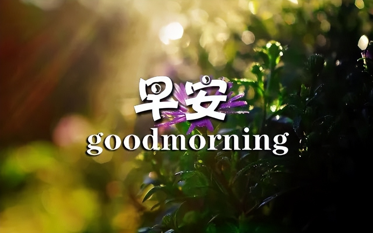 微信精选周末最美早上好动态图片带字 笑口常开、好运自来图片