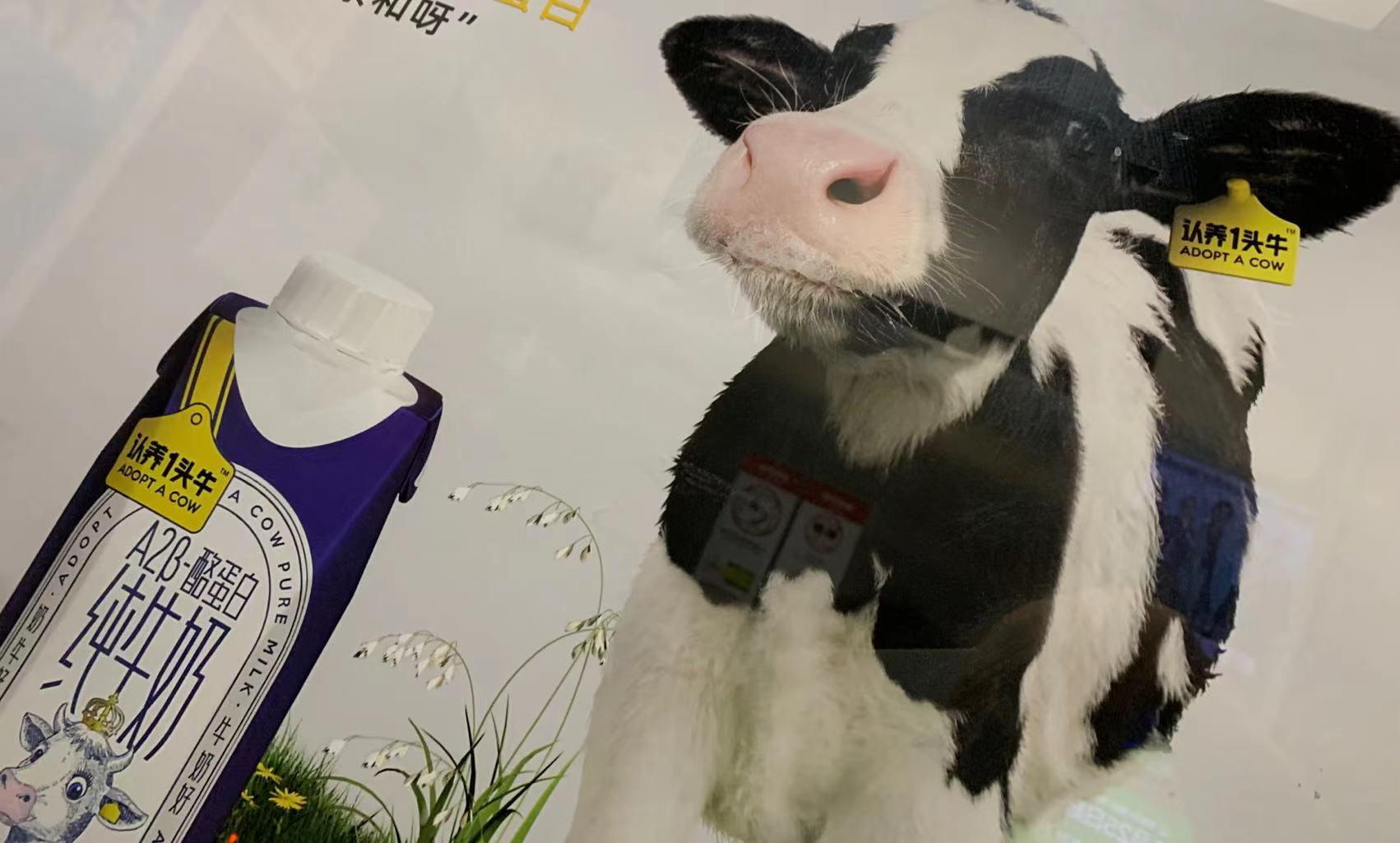 认养一头牛要上市：业绩快速增长，毛利率持续下降，营销费用飙升