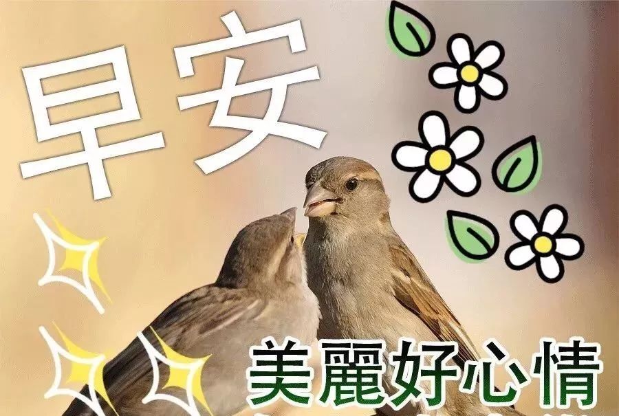 早上好表情包 早晨好动态问候图片 美好的留在心底图片