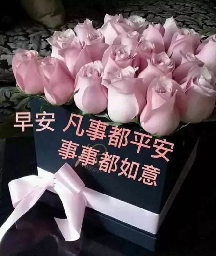 早上好问候语大全 早上好祝福语大全 凡事都平安、事事皆如意图片