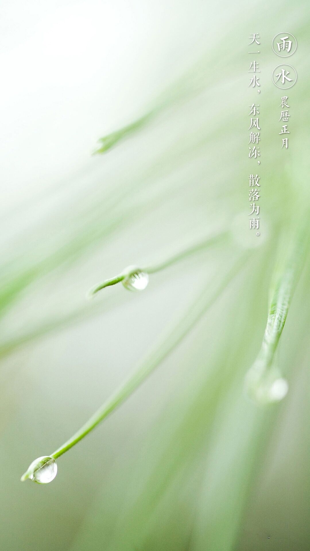 东风潜柔情，润物细无声——雨水，待生命长成，让好事发生