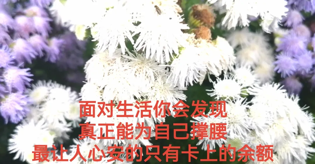 让你努力奋斗的正能量人生语录！（发朋友圈人人点赞）