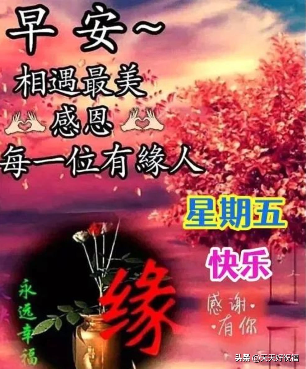 清晨唯美早安问候语温馨句子大全，周五早晨好特漂亮祝福图片分享