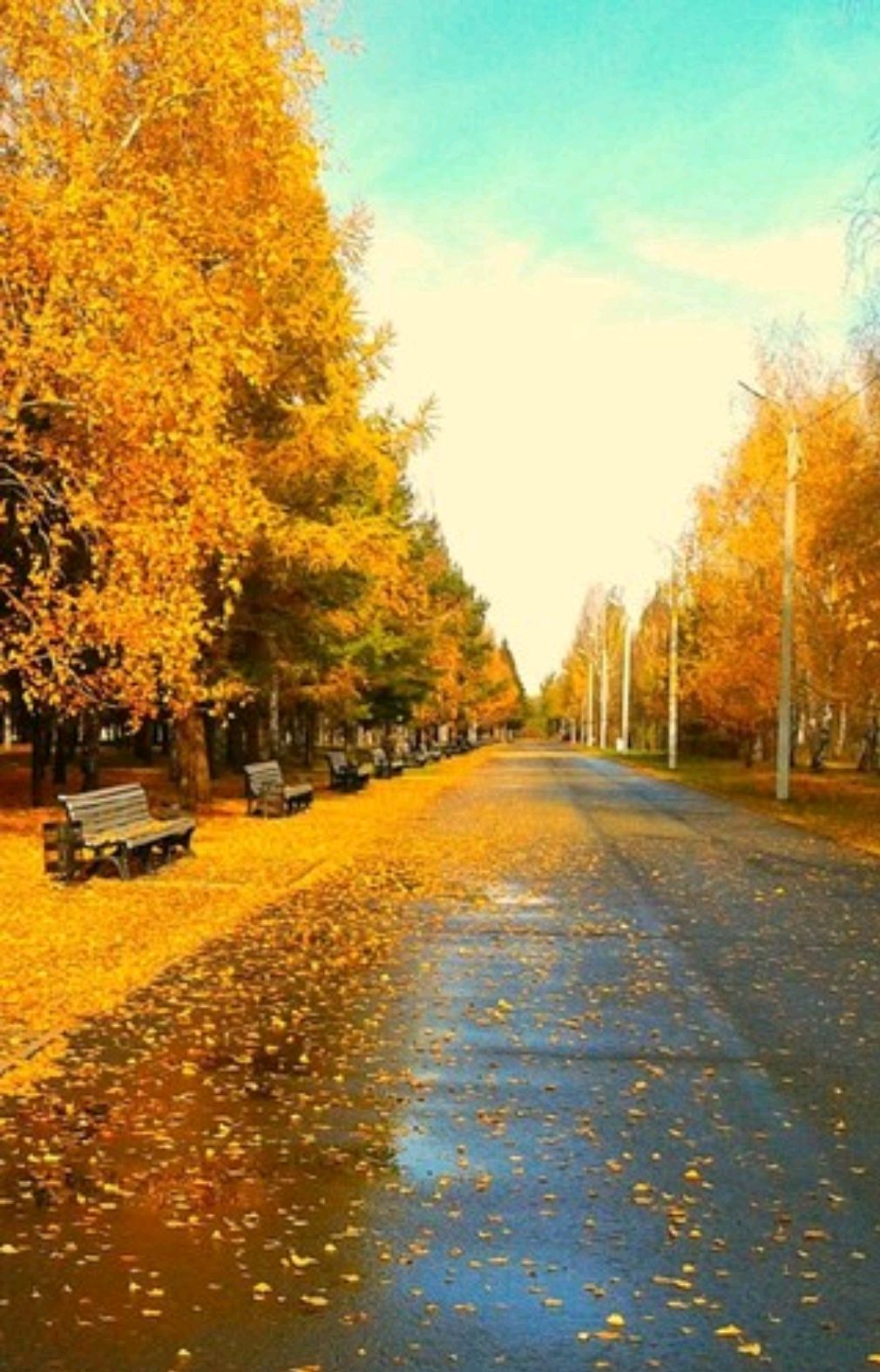 散文：人生就是一场悲欢离合