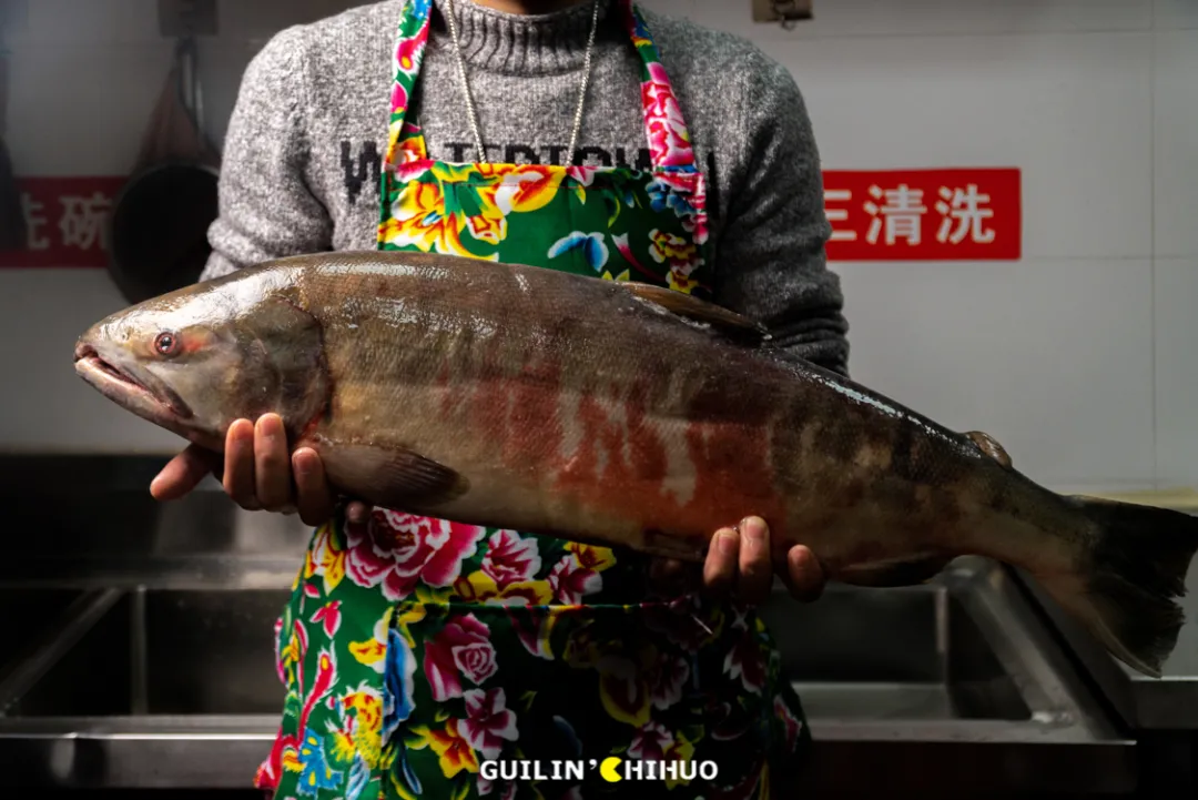 铁锅炖鱼贴饼子,铁锅炖鱼贴饼子怎么做