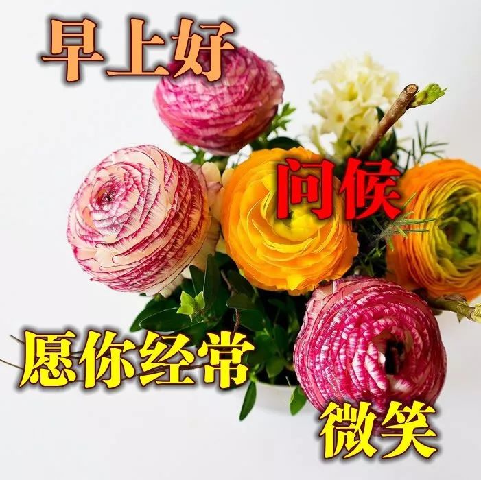 朋友圈暖心早上好问候语简短大全 愿你今天好心情 生活工作都舒心图片