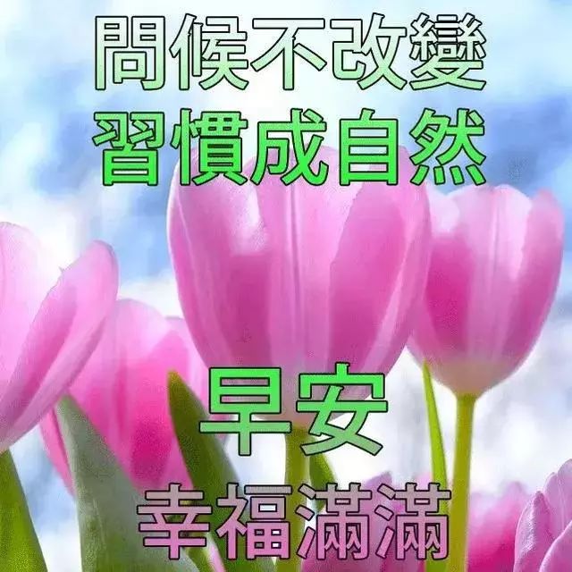 周三清晨最暖心的早上好祝福简短语句 祝福问候天天到 日日好心情