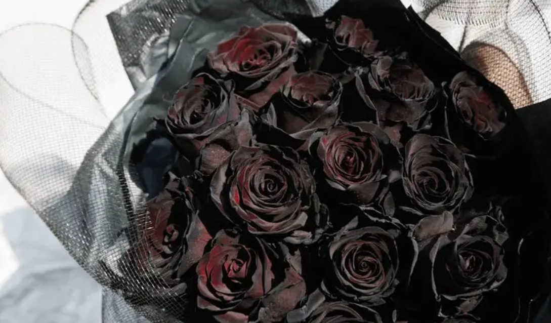 植物35亿年的历史,却没有进化出一朵完全黑色的花,为什么?