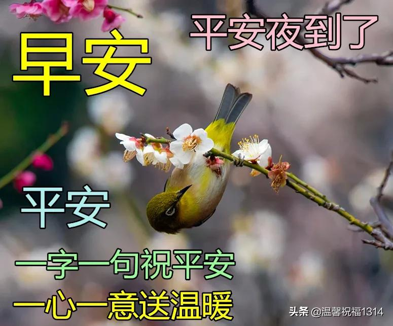 平安夜图片动态祝福平安顺利图片（平安夜的动态图片和祝福语）