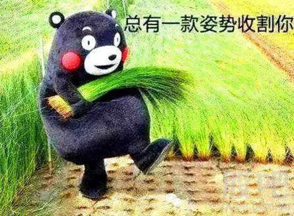 给币圈新老韭菜的一些忠告 以及我个人的一些想法