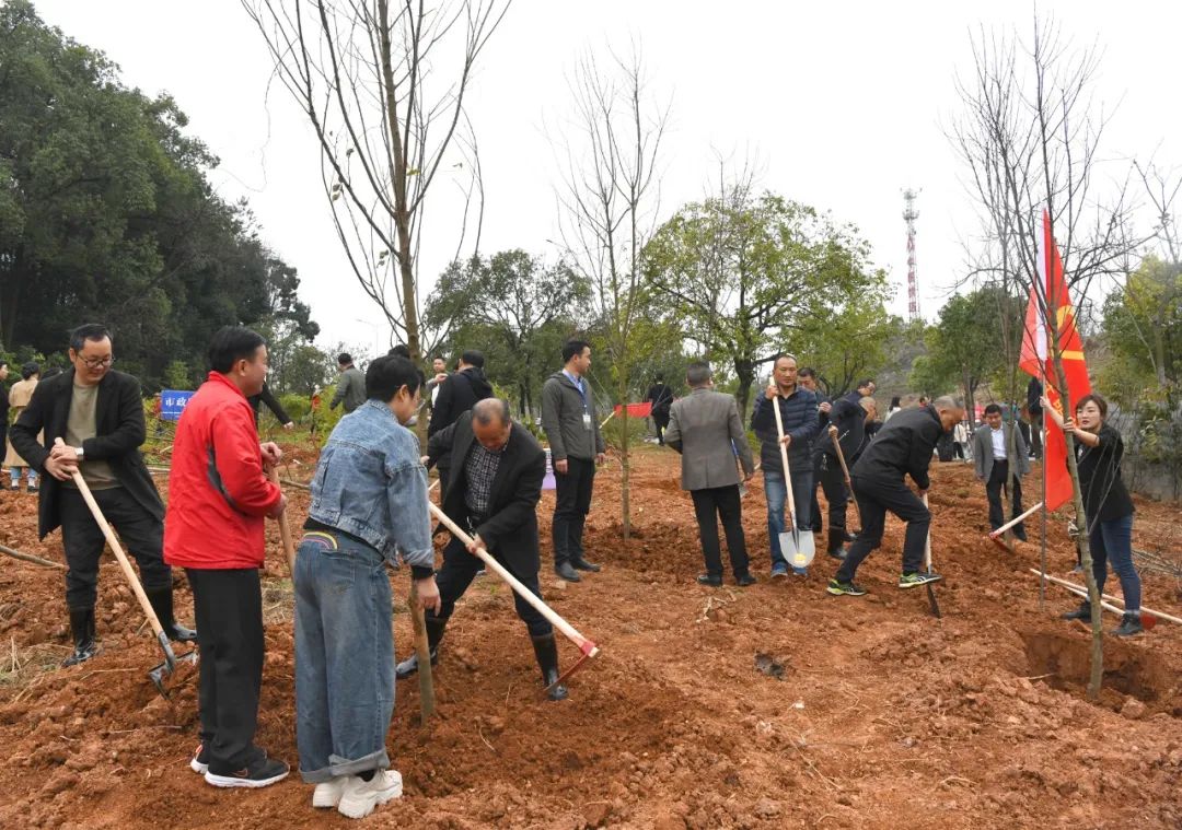 创国家森林城市 建怀化绿色家园 黎春秋王建球李万千印宇鹰等参加义务植树活动