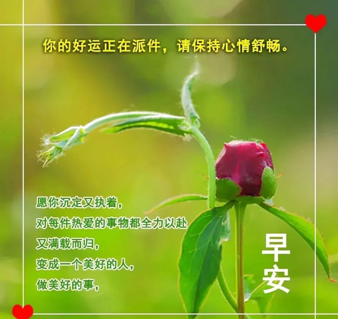 感恩是最强大的正能量.天有阴晴,月有圆缺,人有祸福