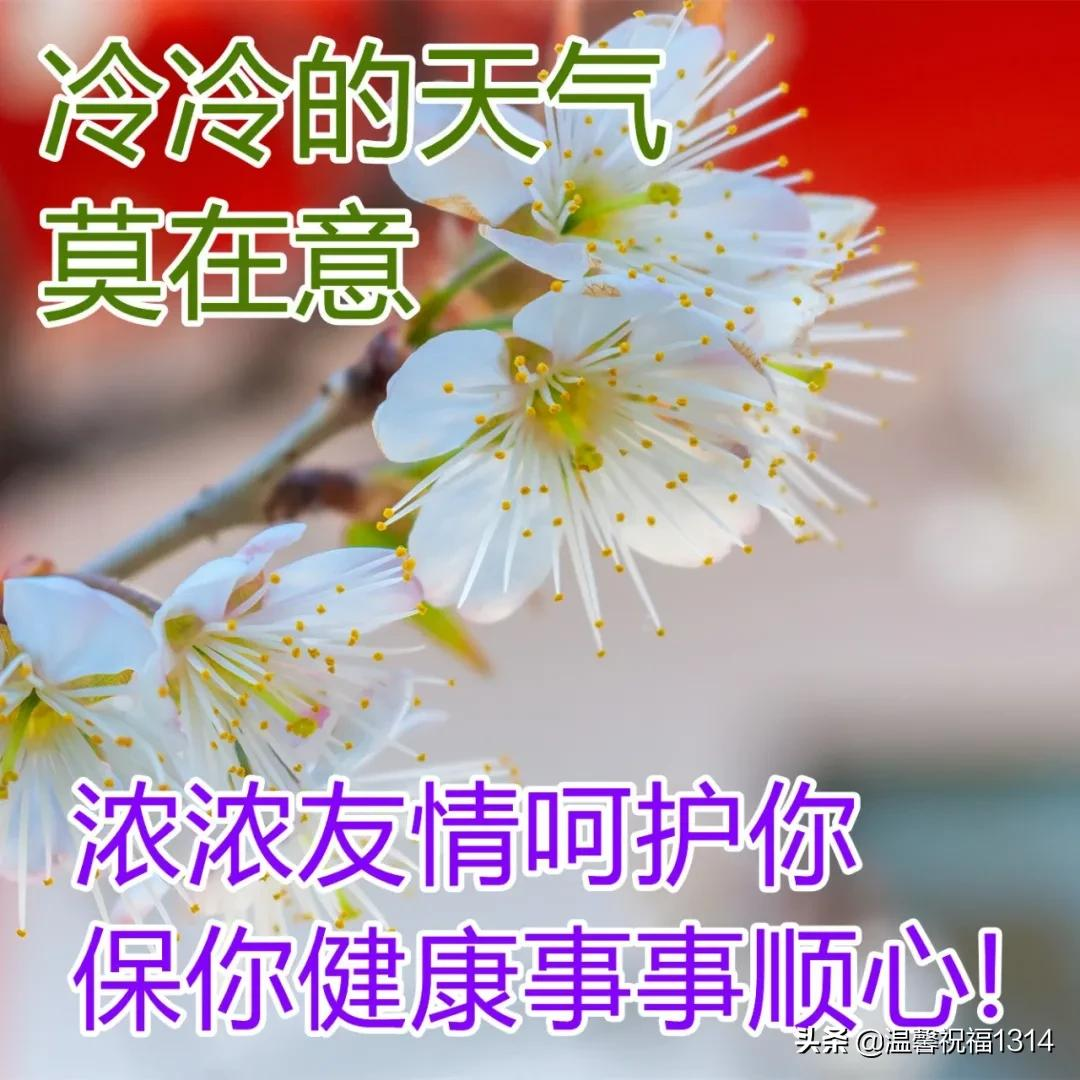 1月30日最美早上好问候图片，腊月廿八早安心语正能量