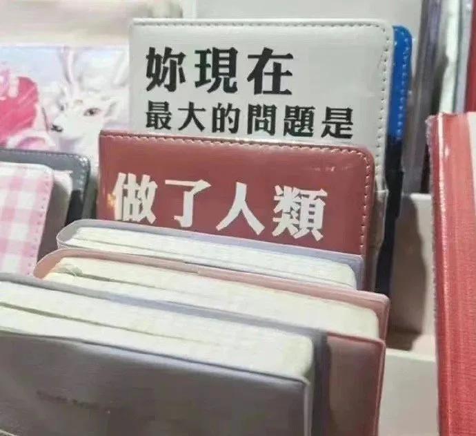 表情包你怎么敢的啊