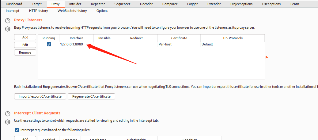 Web渗透_扫描工具Burpsuite