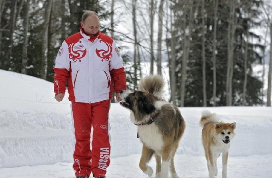 俄罗斯民众心中的伟人榜单，斯大林才排第3，第1第2是谁？