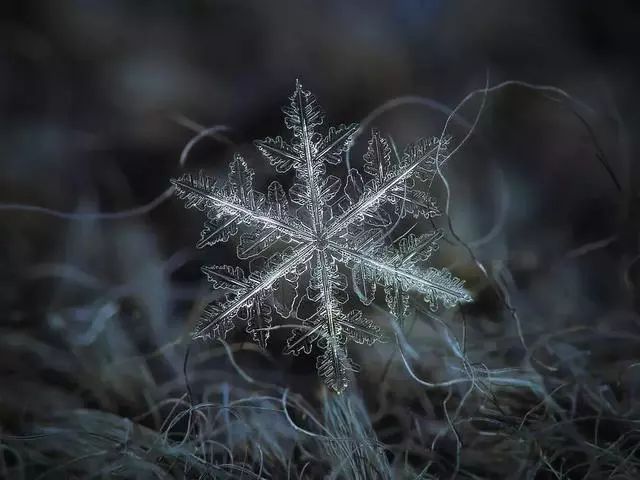 唯美雪花！