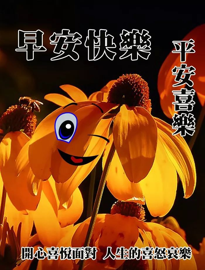 最美最暖心的早上好问候祝福语图片，真正的爱，是接受，不是忍受图片