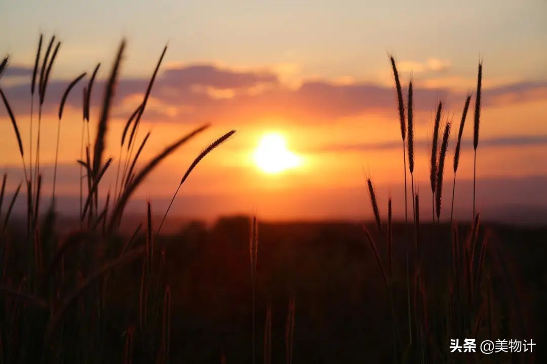 史上最空灵的一首诗，字字禅意，抚慰世人1200多年