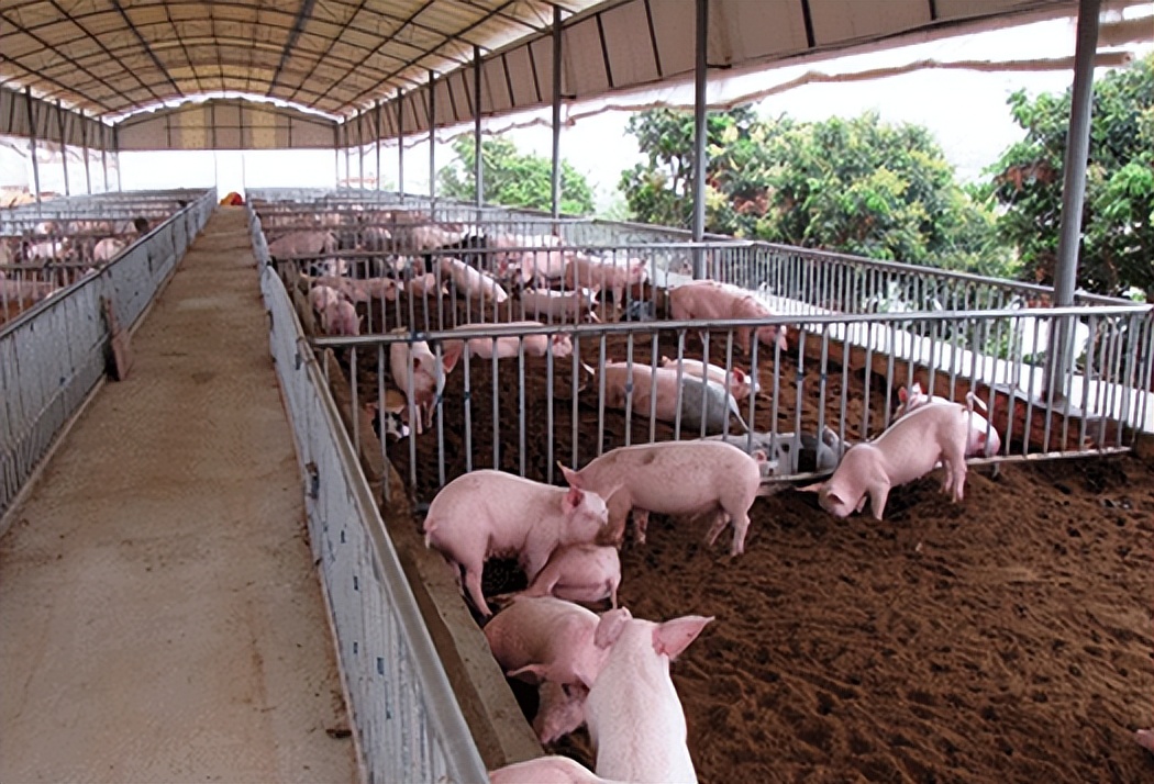 养殖场等设施农业建设只需备案无需批准，可以随便建吗？