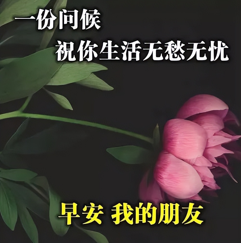 暖人心的早上好问候语 最美早上好祝福语图片 把握当下，珍惜拥有图片