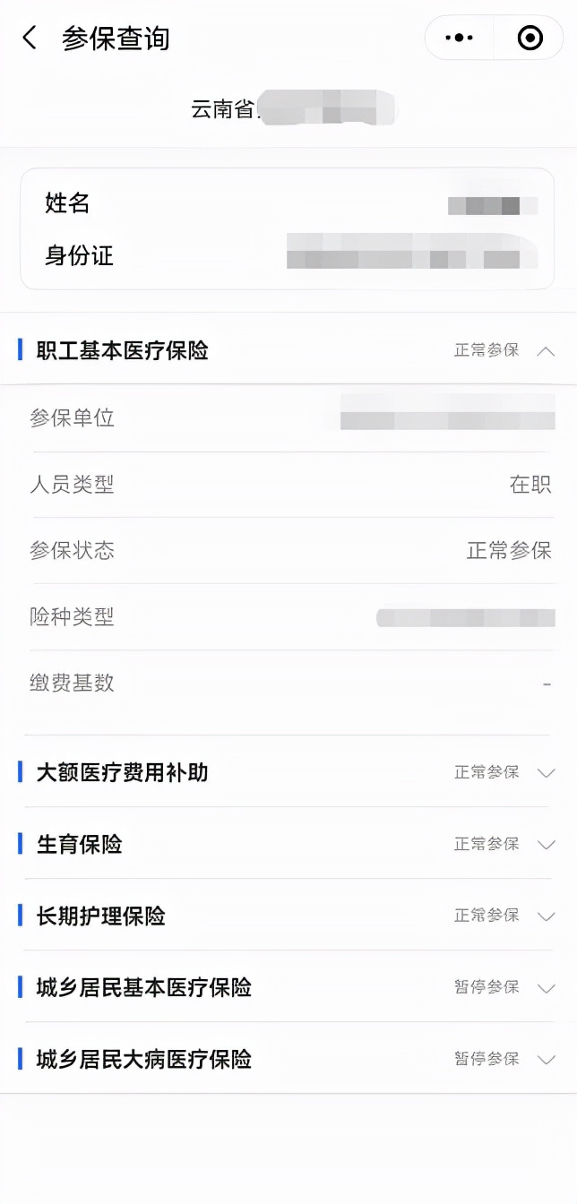 必看！一键查询个人参保信息、医保缴费记录、医保使用记录