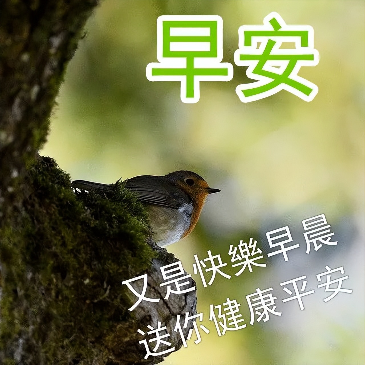 微信早晨好祝福语精选，早上好问候语短信 每分都如意，每秒都幸福图片