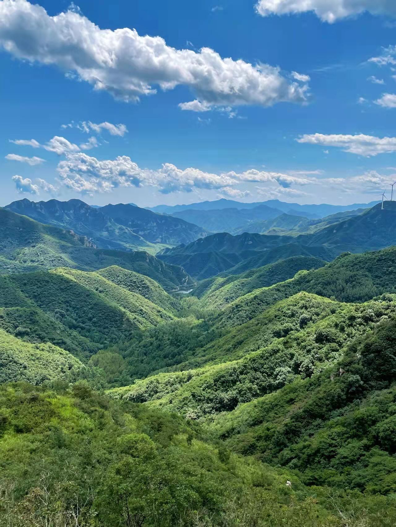 疫情不出京，北京周边游攻略，赏花玩水样样都有