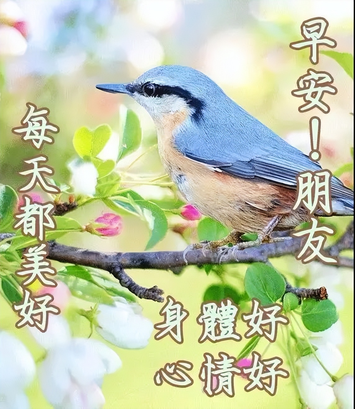 好看的早安问候语图片带字精选 用微笑迎接每一天图片
