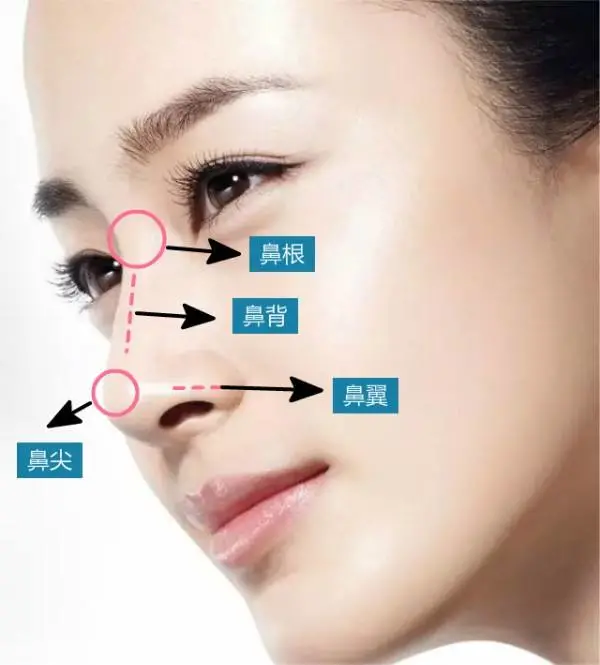 不同的山根起点对鼻型有哪些影响?