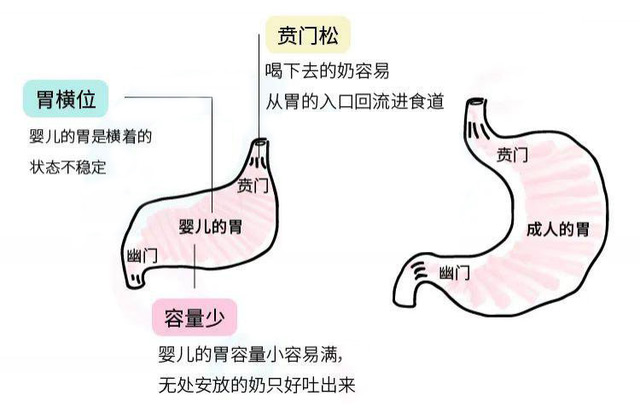 总喂总吃？当心“楞喂”撑住孩子，溢奶和吐奶就是这么喂出来的