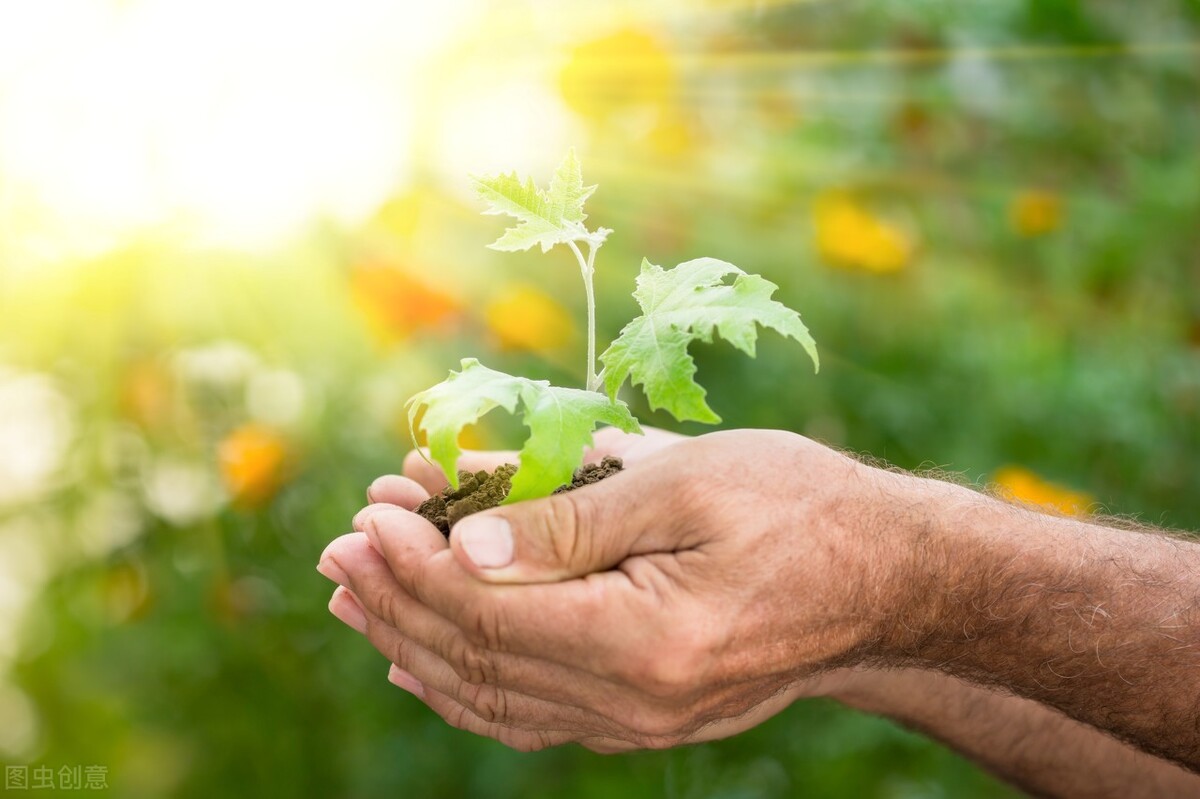 区块链技术从根本上改变我们看待世界的方式