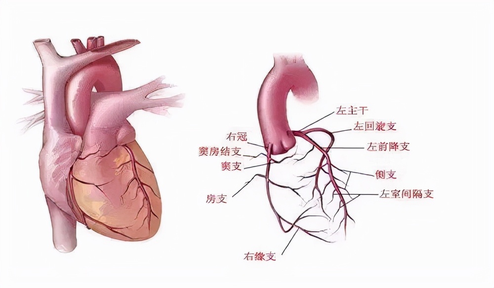 做完冠脉造影，对健康伤害很大？冠脉造影检查对人体有哪些危害？