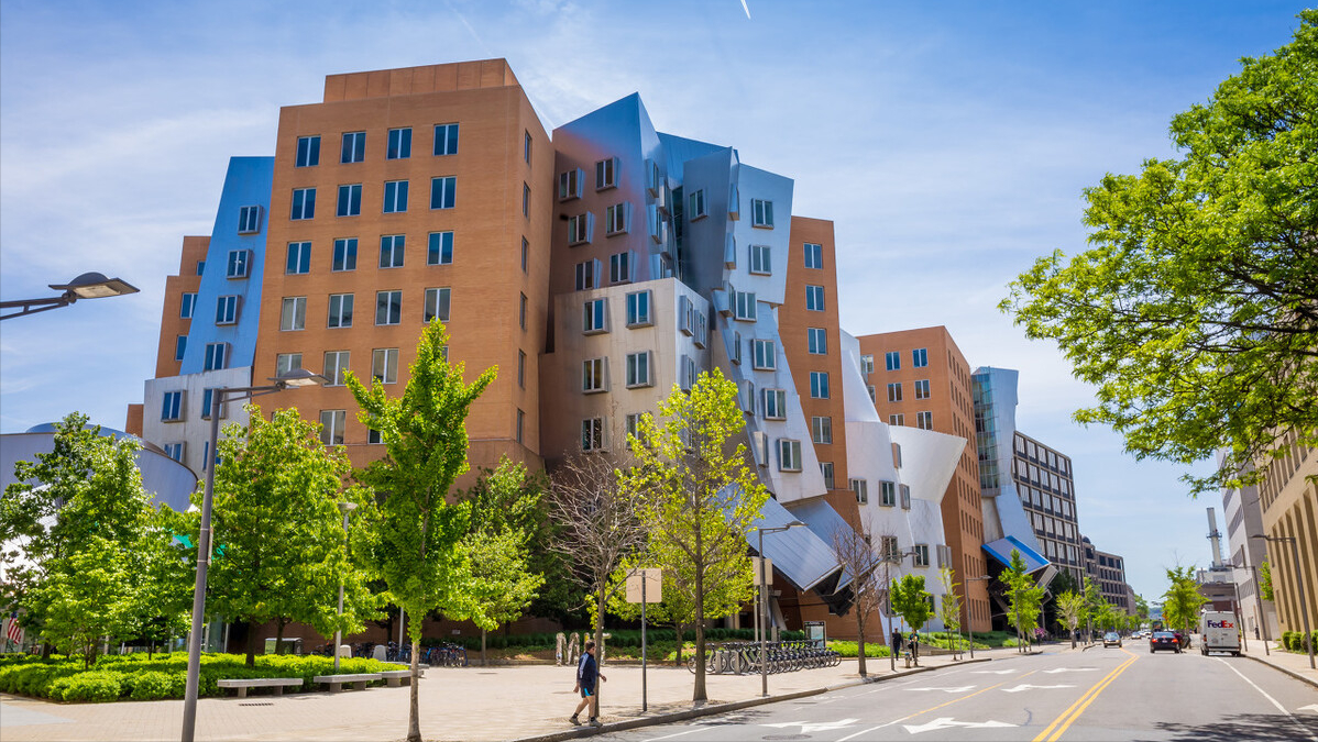 什么是“211”大学和“985”大学？