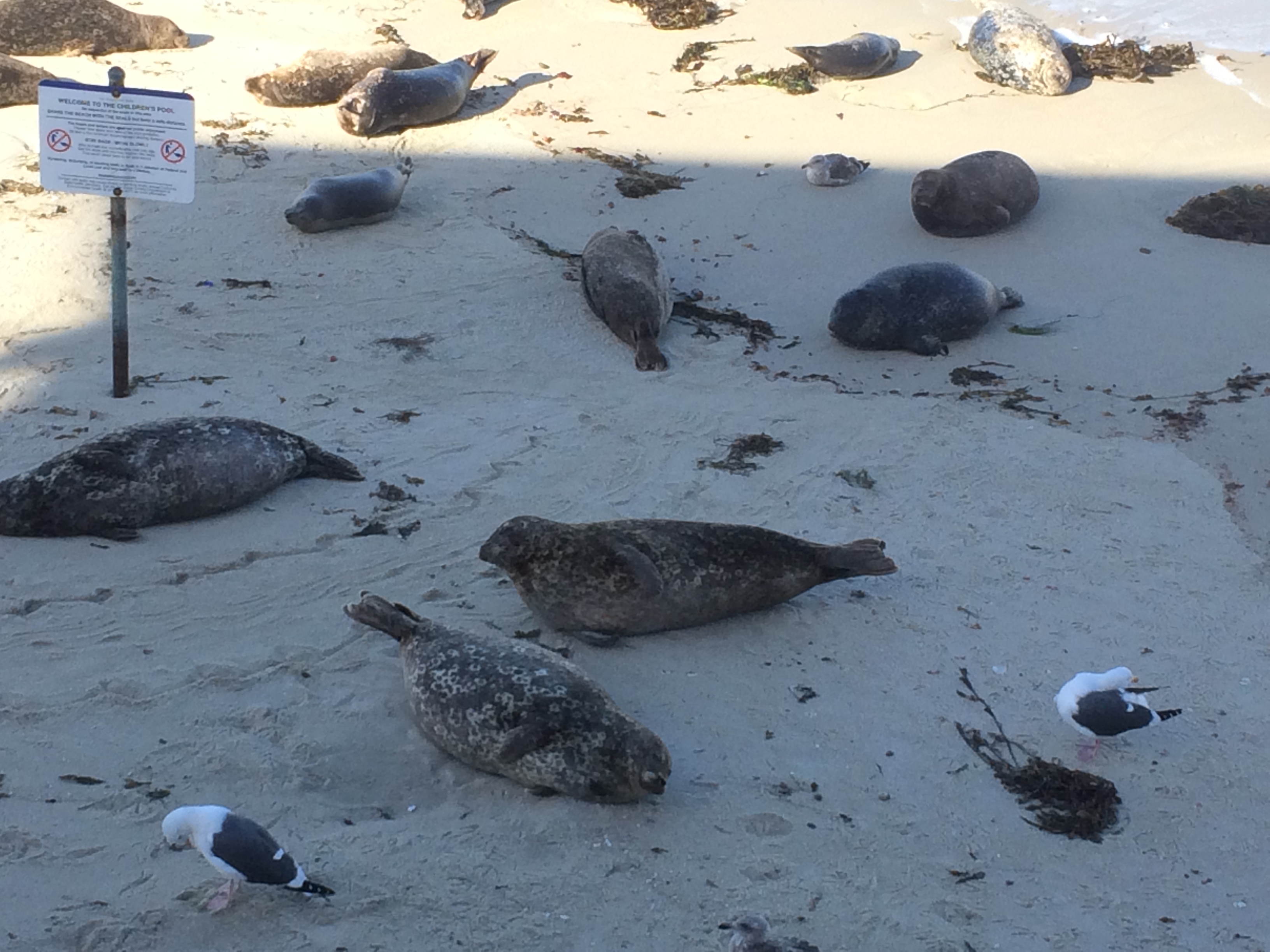 阳光与海浪(阳光、沙滩、海浪，是一种美妙的享受，更是人与自然的融合)