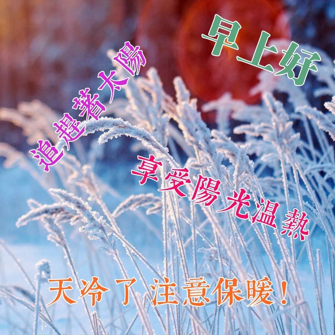 清晨早上好鲜花祝福图片 朋友圈早上鲜花问候语 恭祝人顺家顺百业顺图片